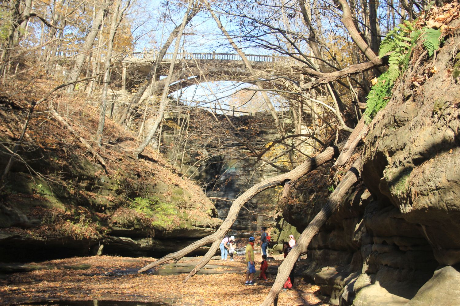 Matthiessen 